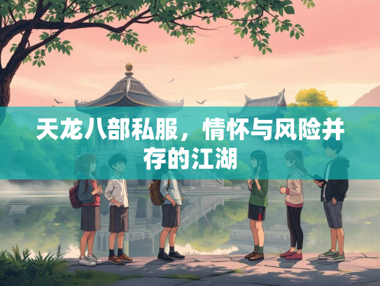 天龙八部私服，情怀与风险并存的江湖  第2张