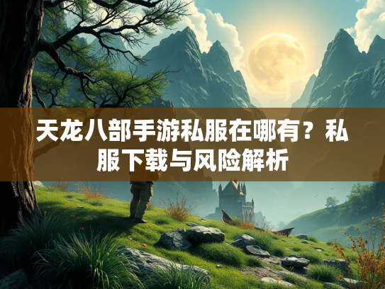 天龙八部手游私服在哪有？私服下载与风险解析  第2张