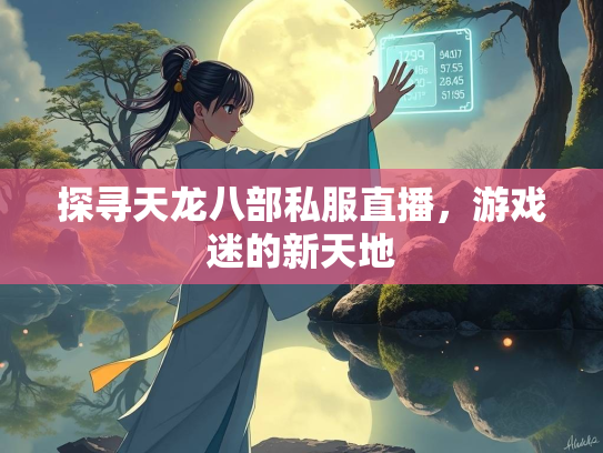探寻天龙八部私服直播，游戏迷的新天地  第2张