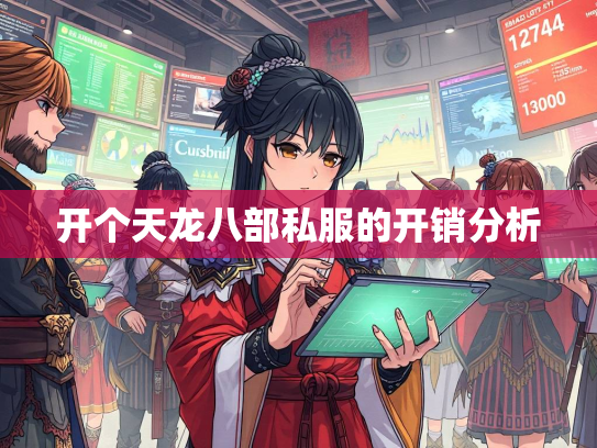 开个天龙八部私服的开销分析  第1张