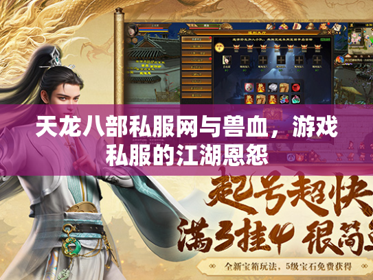 天龙八部私服网与兽血，游戏私服的江湖恩怨  第5张
