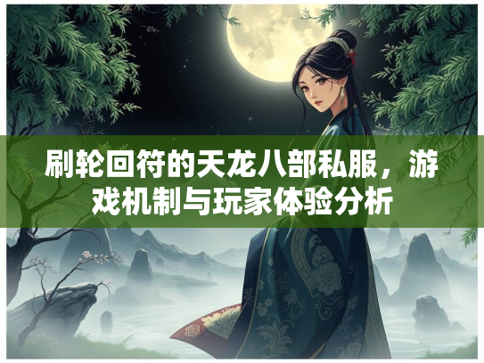刷轮回符的天龙八部私服，游戏机制与玩家体验分析  第3张