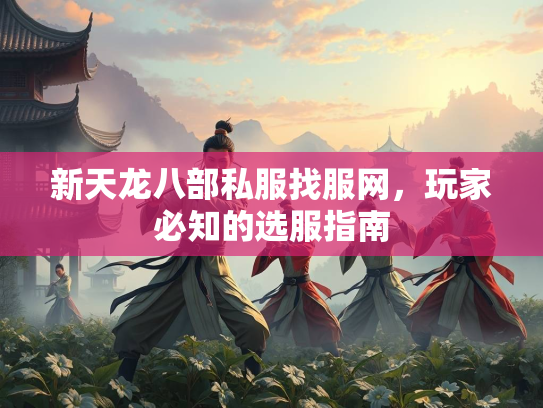 新天龙八部私服找服网，玩家必知的选服指南  第1张
