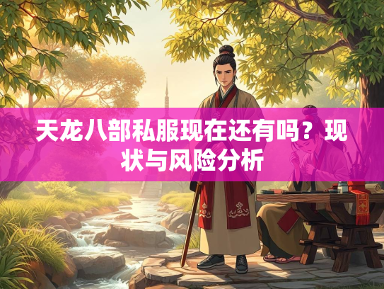 天龙八部私服现在还有吗？现状与风险分析