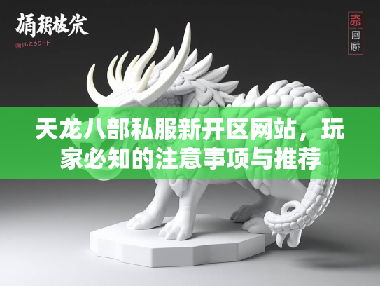 天龙八部私服新开区网站，玩家必知的注意事项与推荐
