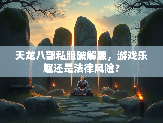 天龙八部私服破解版，游戏乐趣还是法律风险？