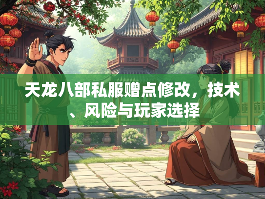 天龙八部私服赠点修改，技术、风险与玩家选择