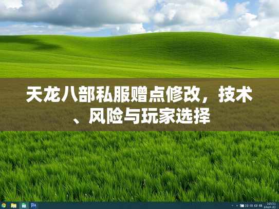 天龙八部私服赠点修改，技术、风险与玩家选择