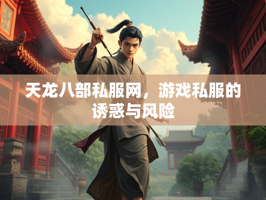 天龙八部私服网，游戏私服的诱惑与风险