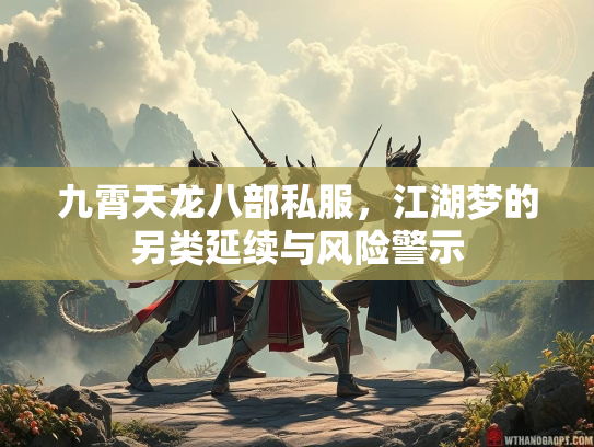 九霄天龙八部私服，江湖梦的另类延续与风险警示