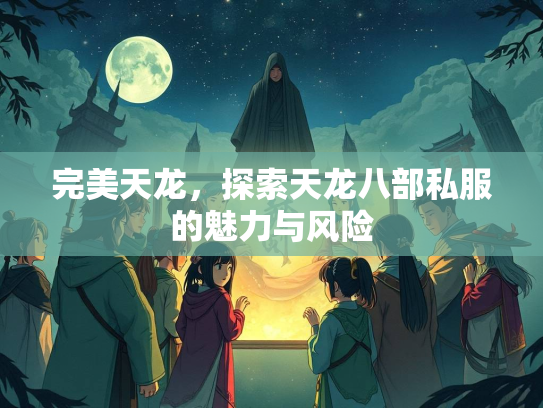 完美天龙，探索天龙八部私服的魅力与风险  第2张