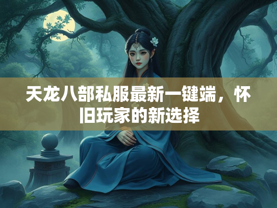 天龙八部私服最新一键端，怀旧玩家的新选择  第1张