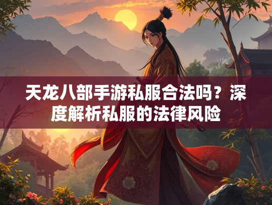 天龙八部手游私服合法吗？深度解析私服的法律风险  第1张
