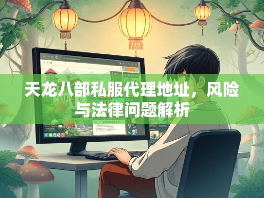 天龙八部私服代理地址，风险与法律问题解析  第3张