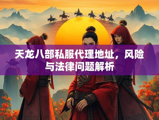 天龙八部私服代理地址，风险与法律问题解析  第4张