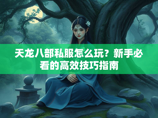 天龙八部私服怎么玩？新手必看的高效技巧指南  第3张