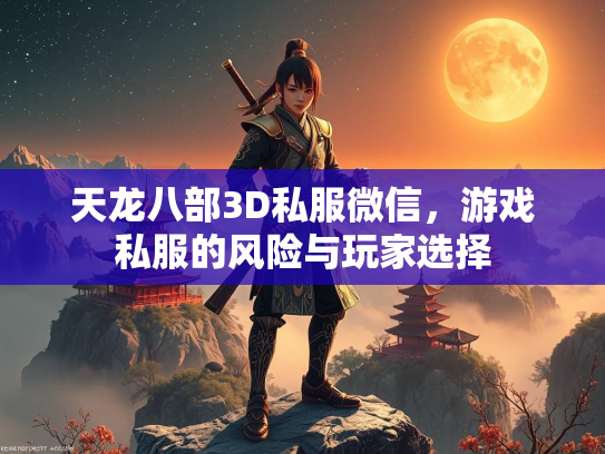 天龙八部3D私服微信，游戏私服的风险与玩家选择  第3张