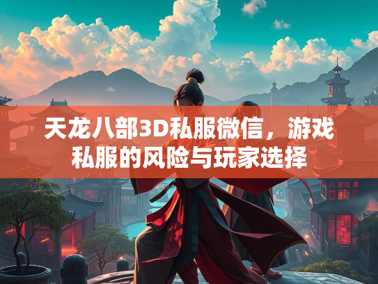 天龙八部3D私服微信，游戏私服的风险与玩家选择  第4张