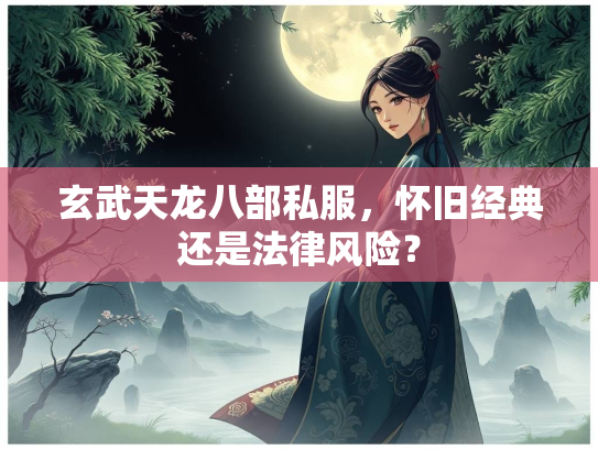 玄武天龙八部私服，怀旧经典还是法律风险？  第1张