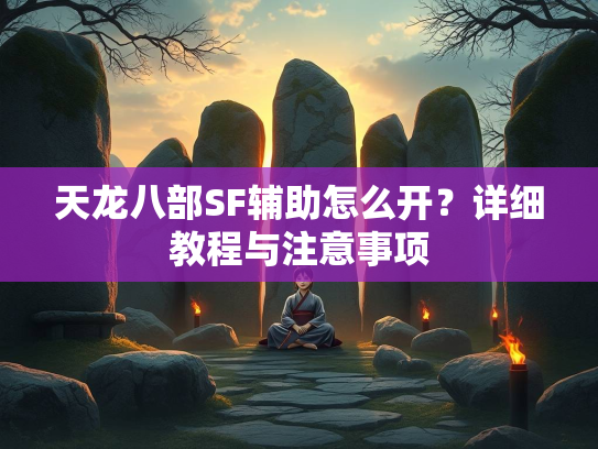 天龙八部SF辅助怎么开？详细教程与注意事项  第3张