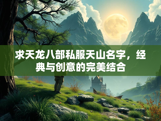 求天龙八部私服天山名字，经典与创意的完美结合  第3张