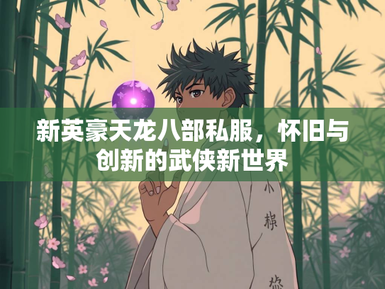 新英豪天龙八部私服，怀旧与创新的武侠新世界  第4张