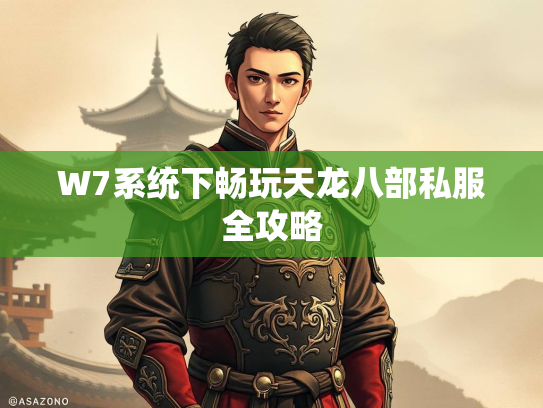 W7系统下畅玩天龙八部私服全攻略  第4张