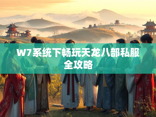 W7系统下畅玩天龙八部私服全攻略  第5张