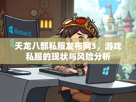 天龙八部私服发布网3，游戏私服的现状与风险分析  第3张