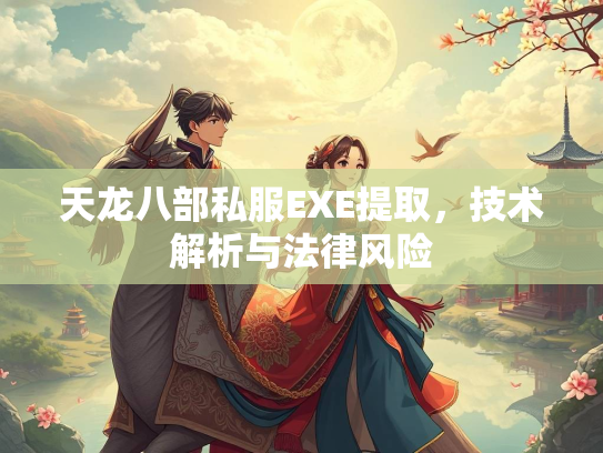 天龙八部私服EXE提取，技术解析与法律风险  第4张