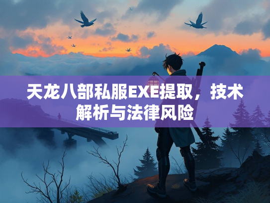 天龙八部私服EXE提取，技术解析与法律风险  第1张