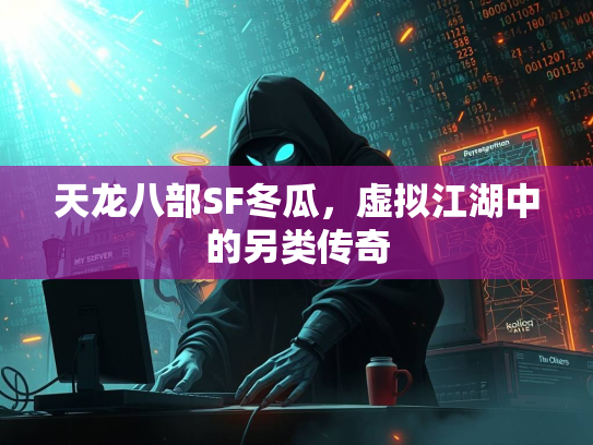 天龙八部SF冬瓜，虚拟江湖中的另类传奇  第2张