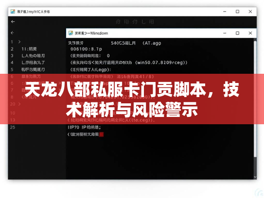天龙八部私服卡门贡脚本，技术解析与风险警示  第3张