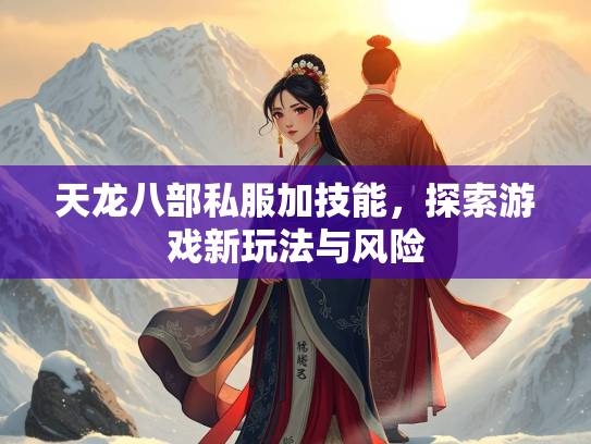天龙八部私服加技能，探索游戏新玩法与风险  第1张