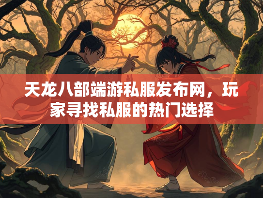 天龙八部端游私服发布网，玩家寻找私服的热门选择  第1张
