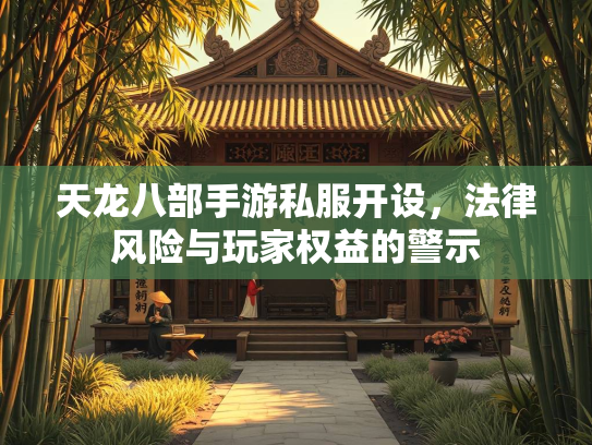 天龙八部手游私服开设，法律风险与玩家权益的警示  第3张