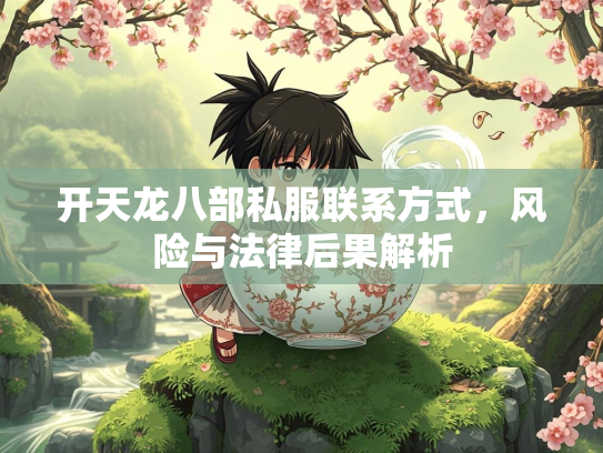 开天龙八部私服联系方式，风险与法律后果解析  第3张