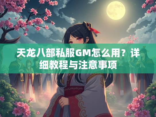 天龙八部私服GM怎么用？详细教程与注意事项  第3张