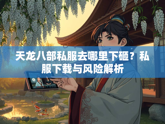 天龙八部私服去哪里下砸？私服下载与风险解析  第5张
