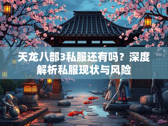 天龙八部3私服还有吗？深度解析私服现状与风险  第1张