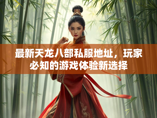最新天龙八部私服地址，玩家必知的游戏体验新选择  第3张