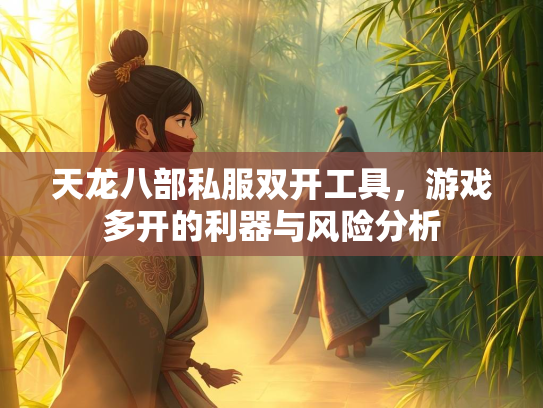 天龙八部私服双开工具，游戏多开的利器与风险分析  第5张