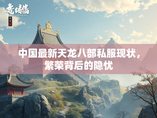 中国最新天龙八部私服现状，繁荣背后的隐忧  第3张