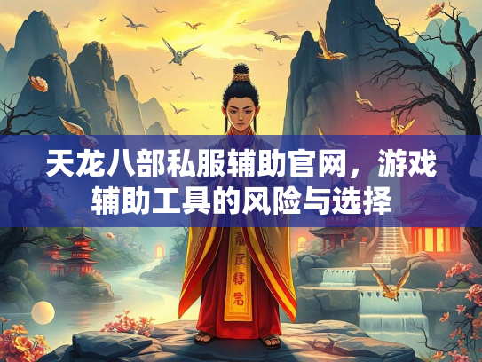 天龙八部私服辅助官网，游戏辅助工具的风险与选择  第1张