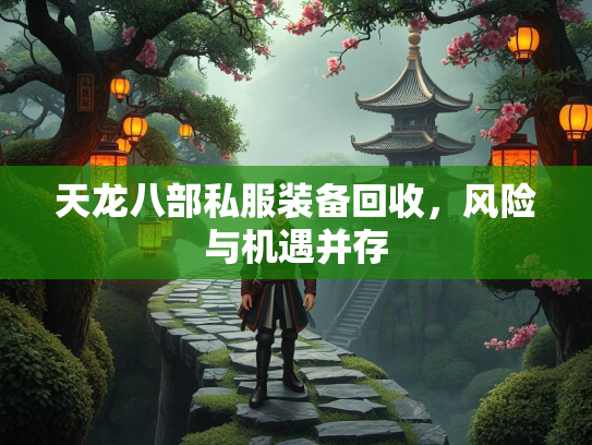 天龙八部私服装备回收，风险与机遇并存  第2张