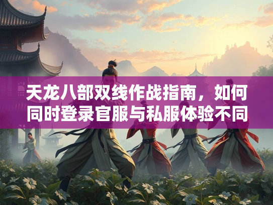 天龙八部双线作战指南，如何同时登录官服与私服体验不同乐趣  第1张