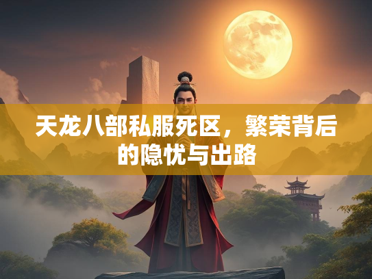 天龙八部私服死区，繁荣背后的隐忧与出路  第2张