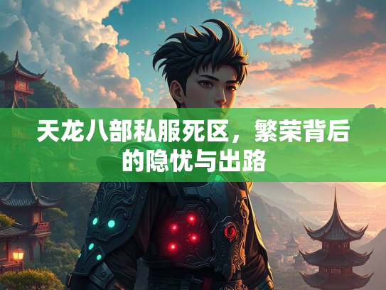 天龙八部私服死区，繁荣背后的隐忧与出路  第1张