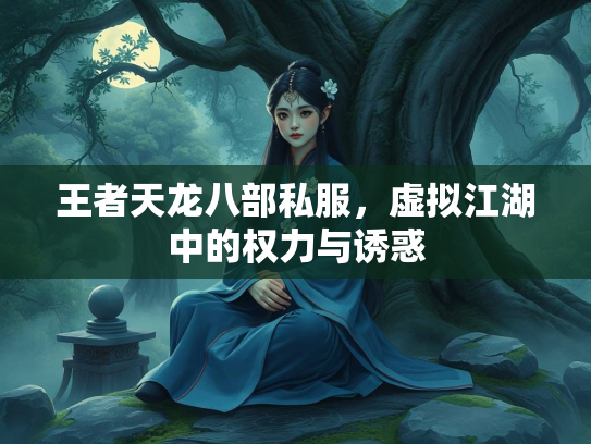 王者天龙八部私服，虚拟江湖中的权力与诱惑  第4张
