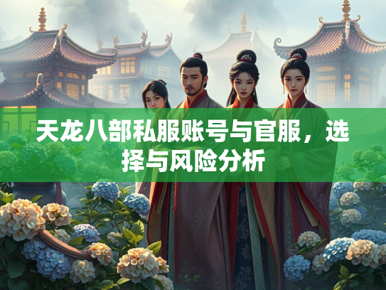 天龙八部私服账号与官服，选择与风险分析  第1张